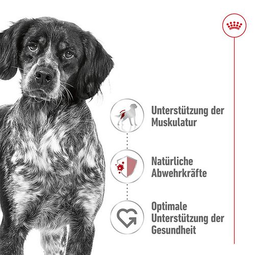 Royal Canin MEDIUM Adult Trockenfutter Vorteile