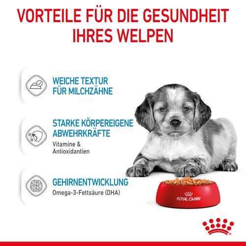Royal Canin MEDIUM PUPPY Welpenfutter Vorteile
