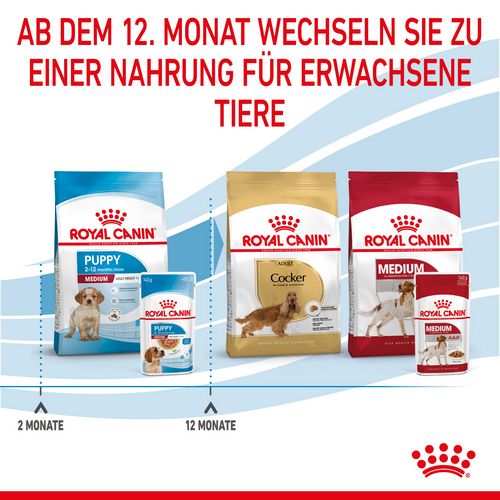 Royal Canin MEDIUM PUPPY Welpenfutter Nass für mittelgroße Hunde 10 x 140 g