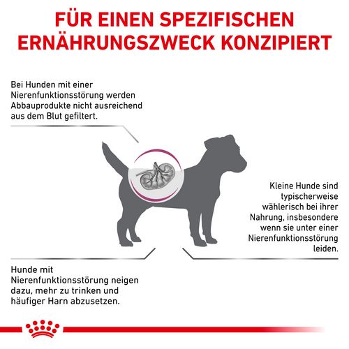 Royal Canin Veterinary RENAL SMALL DOGS Trockenfutter für Hunde 500 g