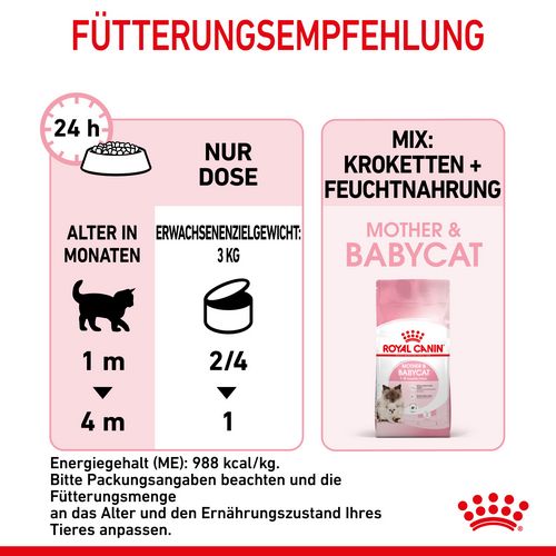 Royal Canin MOTHER & BABYCAT Mousse Fütterung