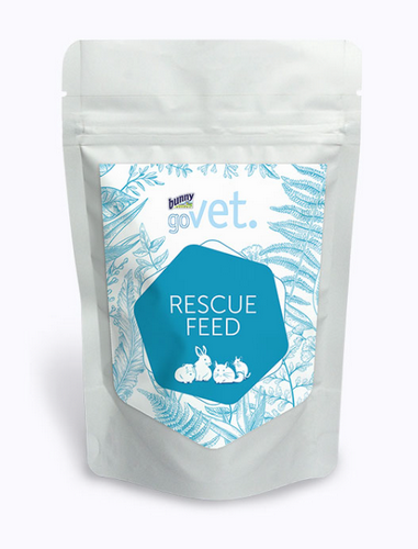Bunny goVet - RESCUE FEED Bunny goVet - RESCUE FEED