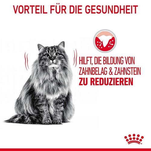 Royal Canin Dental Care Trockenfutter für Katzen 1,5kg