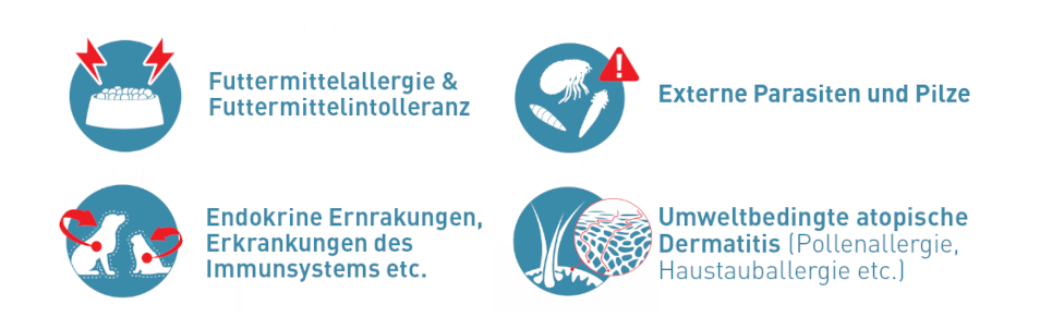 Futtermittelallergie