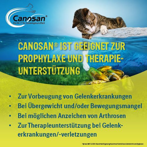 Boehringer Ingelheim - Canosan - KATZE - 600 mg - 30 Kautabletten