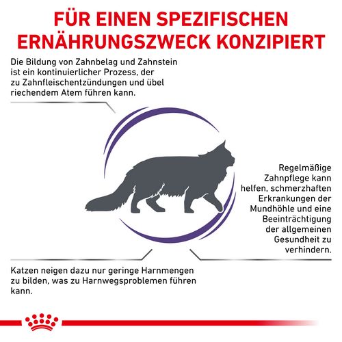 Royal Canin Expert DENTAL Trockenfutter für Katzen