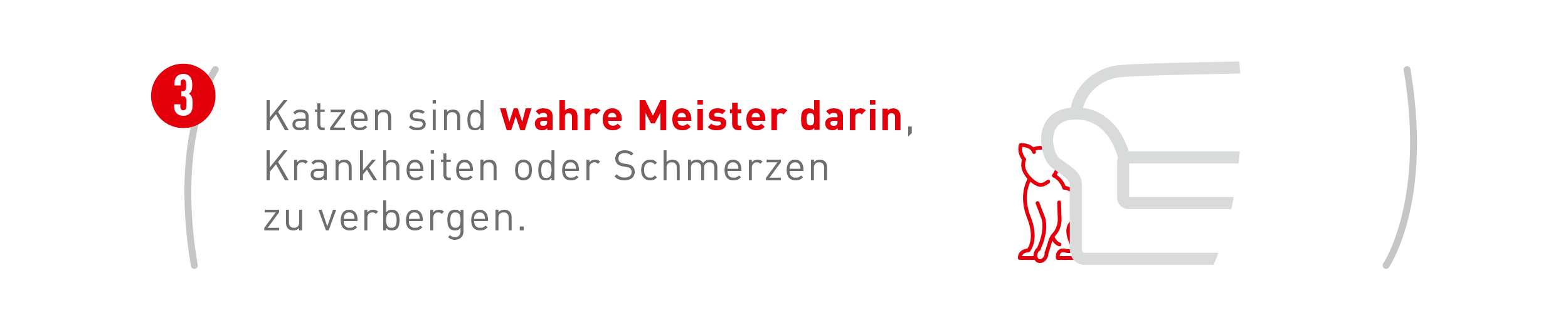 Katzen sind wahre Meister