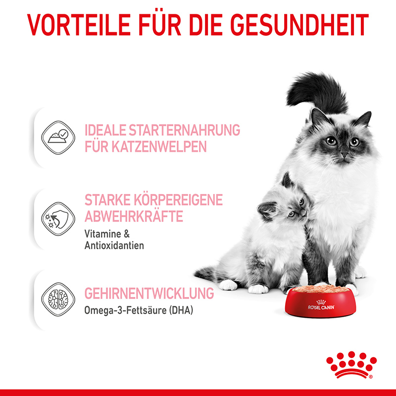 Royal Canin MOTHER & BABYCAT Mousse für tragende Katzen und Kitten 12 x 195 g