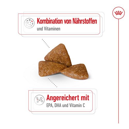 Royal Canin X-SMALL Ageing 12+ Trockenfutter für ältere sehr kleine Hunde 500g