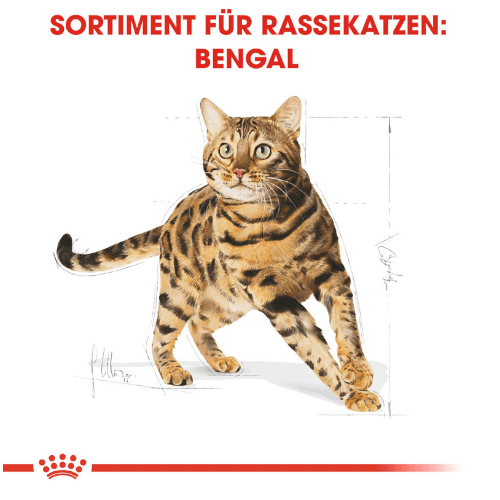 Royal Canin Bengal Adult Katzenfutter trocken