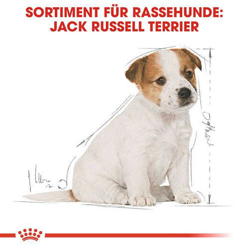 Royal Canin Jack Russell Terrier Puppy Welpenfutter trocken