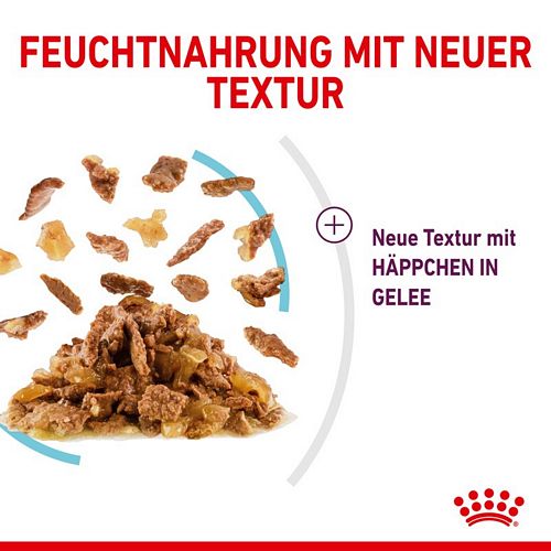 Royal Canin SENSORY Feel Nassfutter in Gelee für wählerische Katzen 12 x 85 g