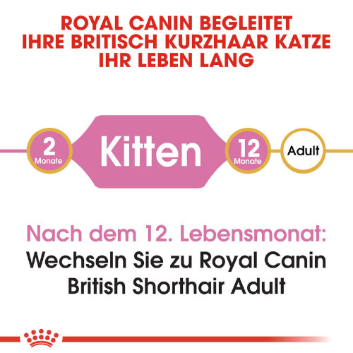 Royal Canin British Shorthair Kittenfutter trocken für Kätzchen