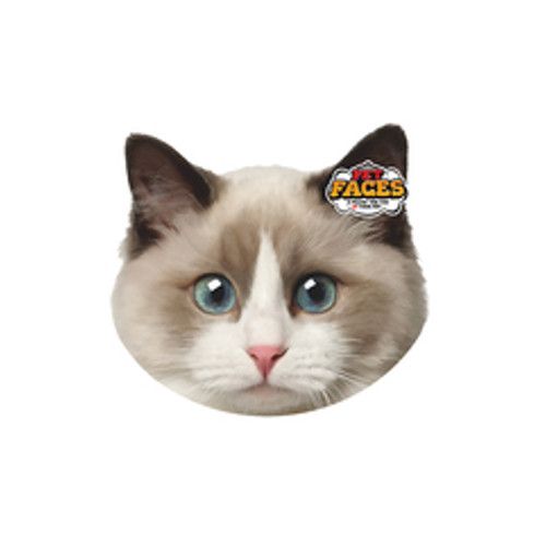 Holland animal care Pet Faces Holland animal care Pet Faces