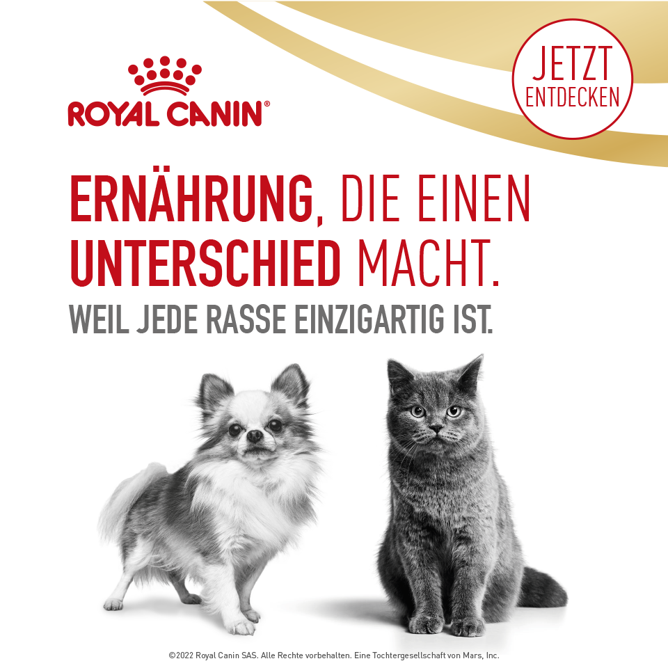 Ernährung die einen Unterschied macht