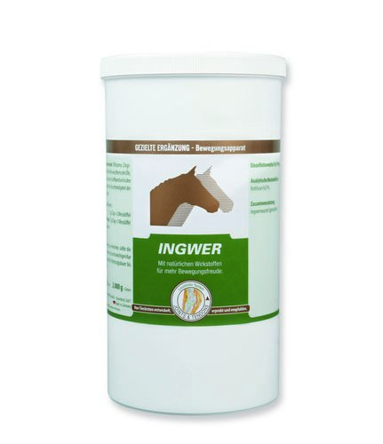 Vetripharm Ingwer