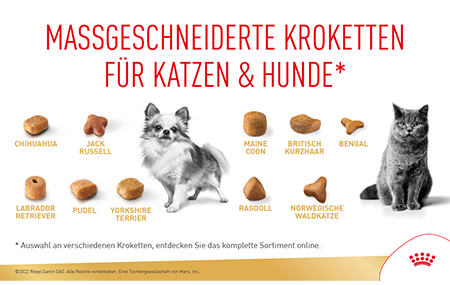 Maßgeschneiderte Kroketten