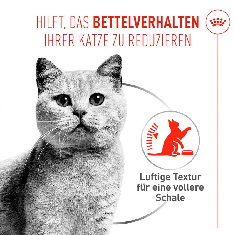 Royal Canin - APPETITE CONTROL AIRLIFT Loaf - Nassfutter KATZE