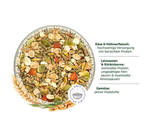 Bunny - RattenTraum BASIC