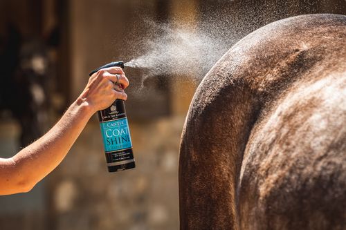 CANTER COAT SHINE CONDITIONER