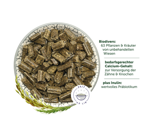 Bunny - KaninchenTraum BASIC