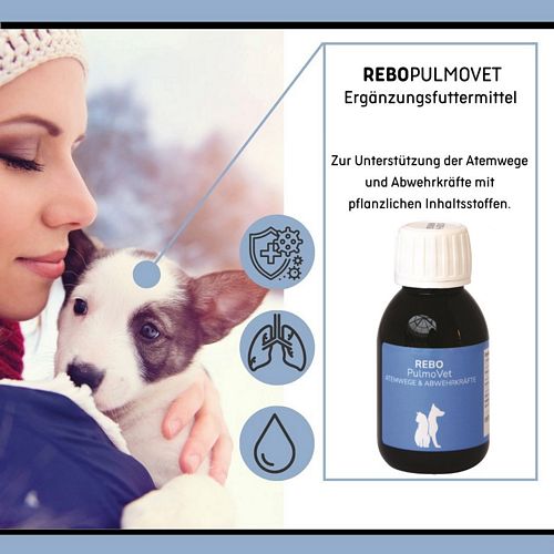 reboVet - REBO-PULMO-Vet - 100 ml