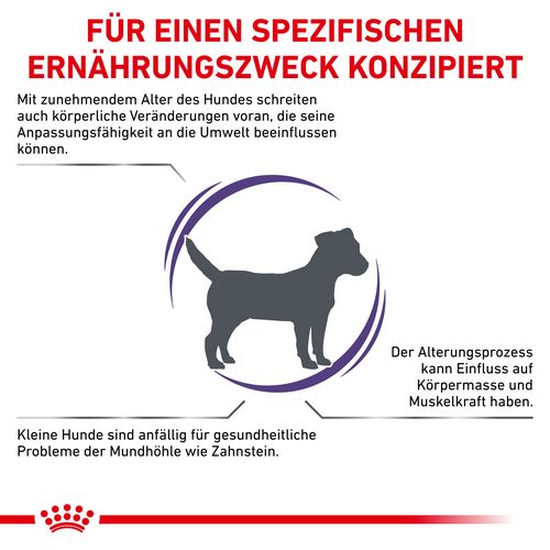 Royal Canin Expert MATURE CONSULT SMALL DOGS Trockenfutter für Hunde 8 kg