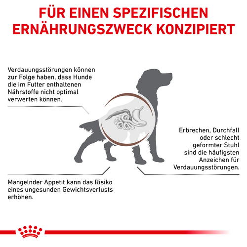 Royal Canin GASTROINTESTINAL Trockenfutter für Hunde 2 kg