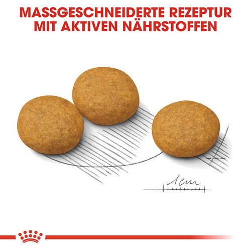 Royal Canin DERMACOMFORT MEDIUM Trockenfutter Kroketten
