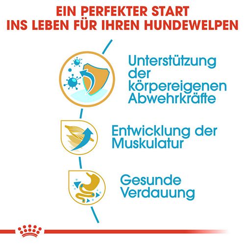 Royal Canin Boxer Puppy Welpentrockenfutter Vorteile