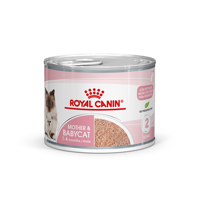 Royal Canin MOTHER & BABYCAT Mousse für tragende Katzen und Kitten 12 x 195 g