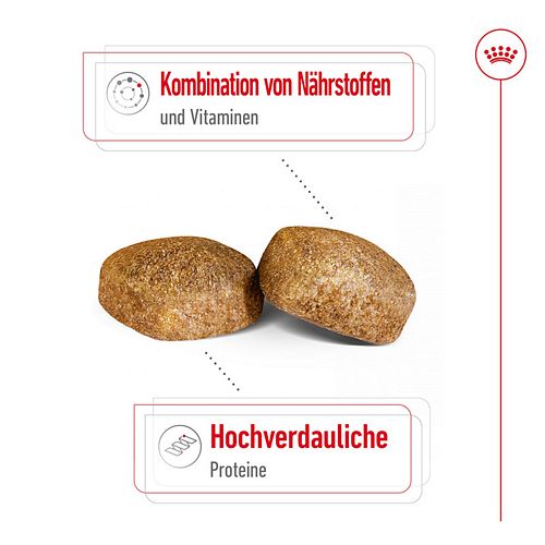 Royal Canin GIANT Adult Trockenfutter für sehr große Hunde Kroketten