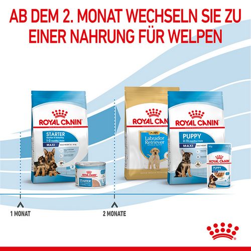 Royal Canin MAXI Starter für tragende Hündin und Welpen großer Rassen 15 kg