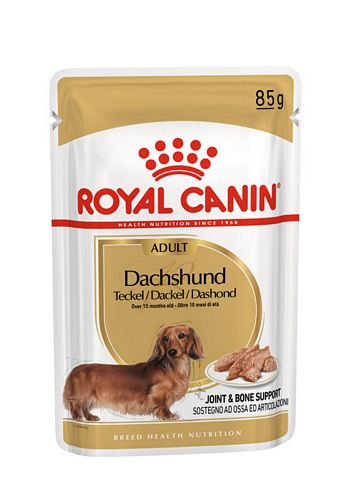 Royal Canin Dachshund Adult Hundefutter nass
