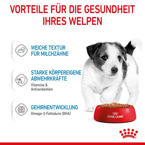 Royal Canin MINI Puppy Welpenfutter Nass Vorteile