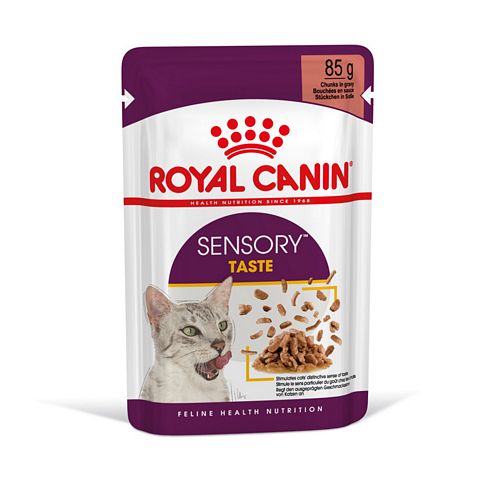 Royal Canin SENSORY Taste Nassfutter in Gelee für wählerische Katzen 12 x 85 g