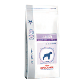 Royal Canin Junior Giant Dog – Digest & Osteo – 14 kg Trockenfutter