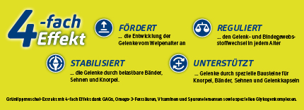 Boehringer Ingelheim - Canosan - KATZE