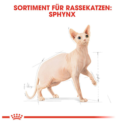 Royal Canin Sphynx Adult Katzenfutter trocken