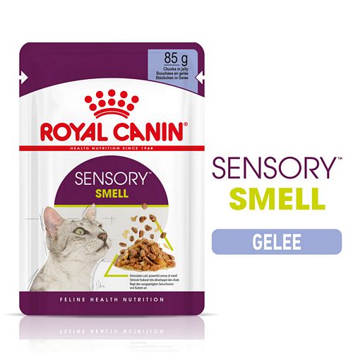 Royal Canin SENSORY Smell Nassfutter in Gelee für wählerische Katzen 12 x 85 g