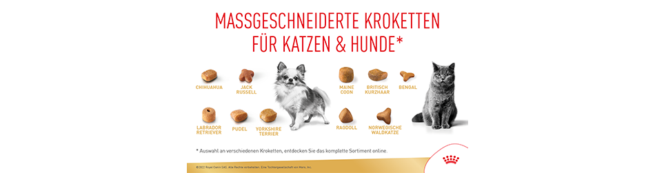 Maßgeschneiderte Kroketten