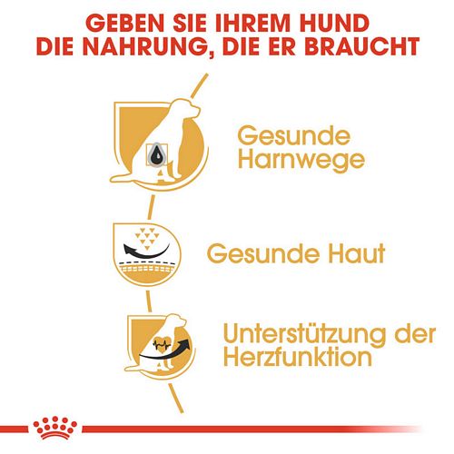 Royal Canin Dalmatiner Adult Trockenfutter Vorteile