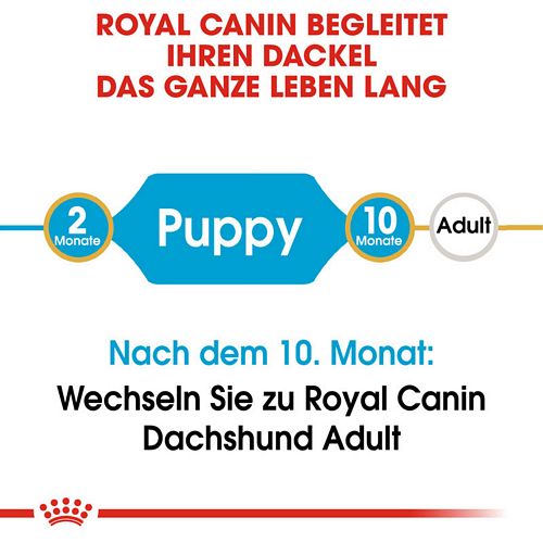 Royal Canin Dachshund Puppy Welpenfutter trocken für Dackel
