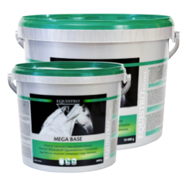 vetoquinol-eqistro-mega-base_1pzWqDJPB9Lw4Z Vetoquinol Equistro Mega base 10 kg