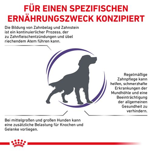  Royal Canin Expert DENTAL MEDIUM & LARGE DOGS  Trockenfutter für Hunde 14 kg