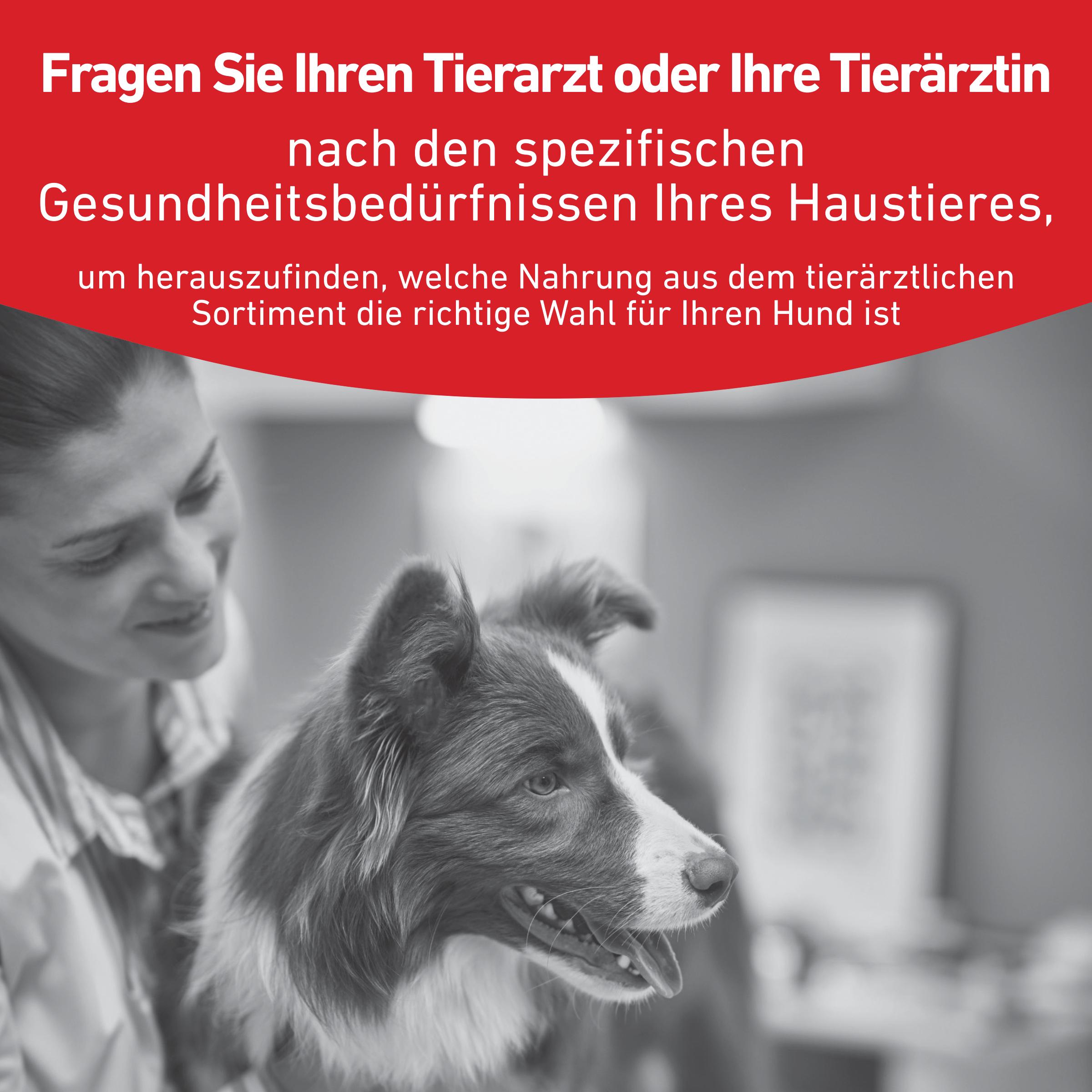 Royal Canin Veterinary - GLYCOBALANCE Hunde
