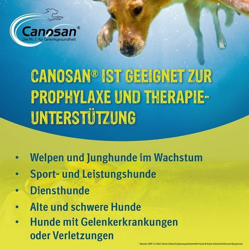 Canosan Kautabletten bei Gelenkbeschwerden für Hunde von Boehringer Ingelheim