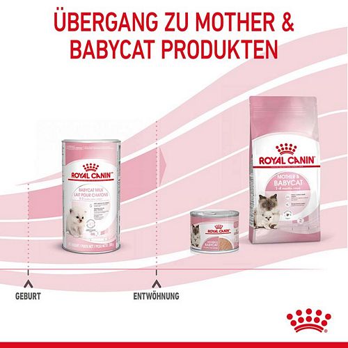 Royal Canin Babycat Milk Feline 300 g Instant-Pulver