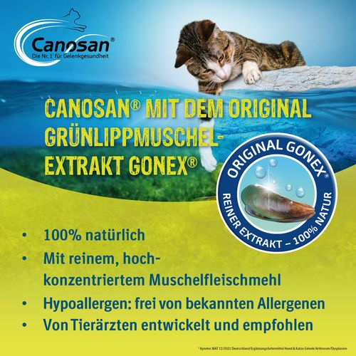 Boehringer Ingelheim - Canosan - KATZE - 600 mg - 30 Kautabletten
