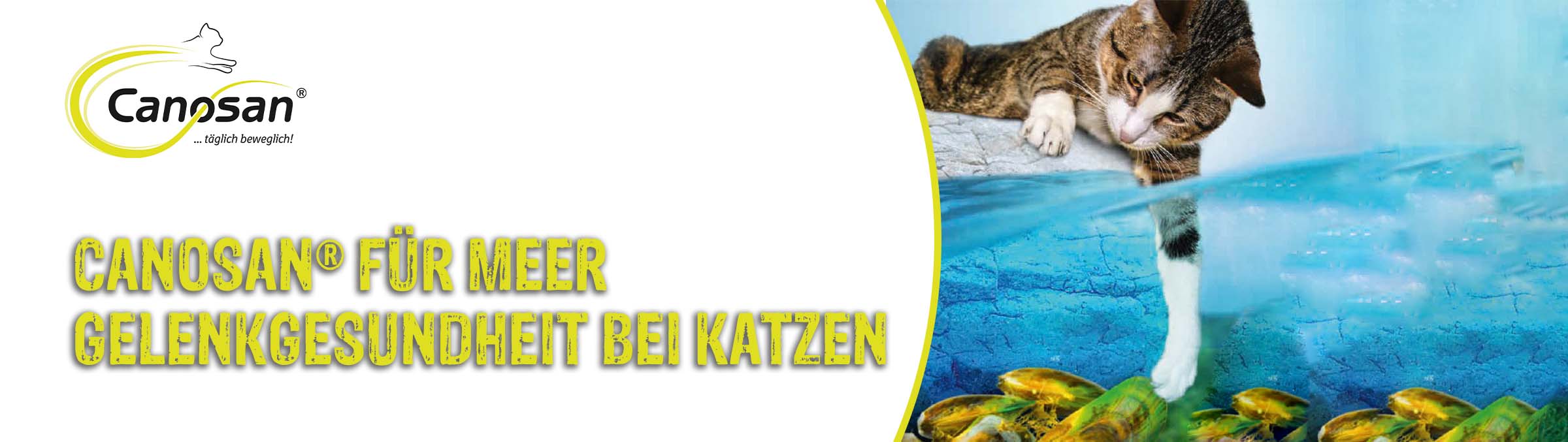 Canosan für Meer Gelenkgesundheit bei Katzen Canosan für Meer Gelenkgesundheit bei Katzen